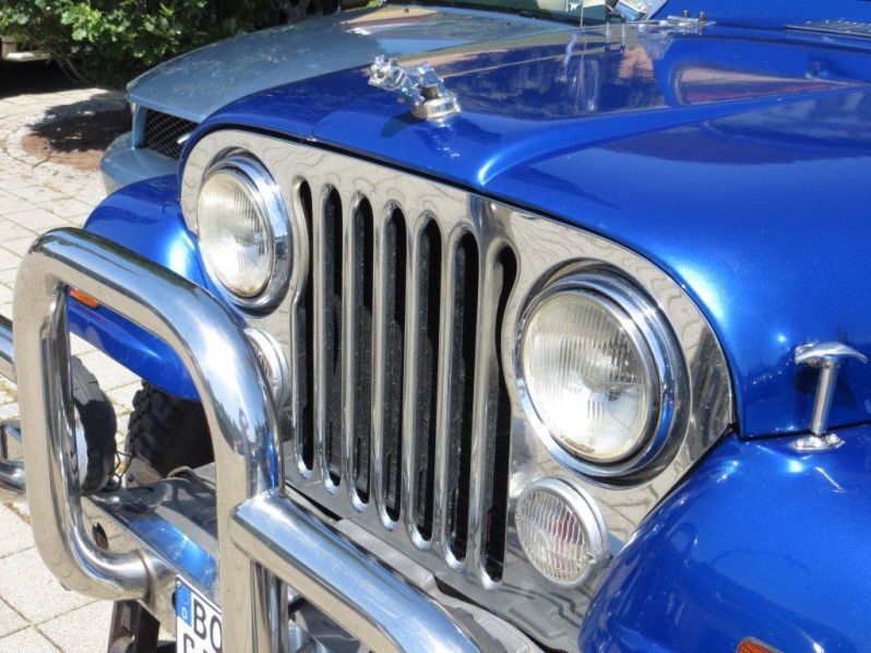 19.07.2014 Dr. Mustang 2014 096
11.US-Car-Treffen im CentrO
