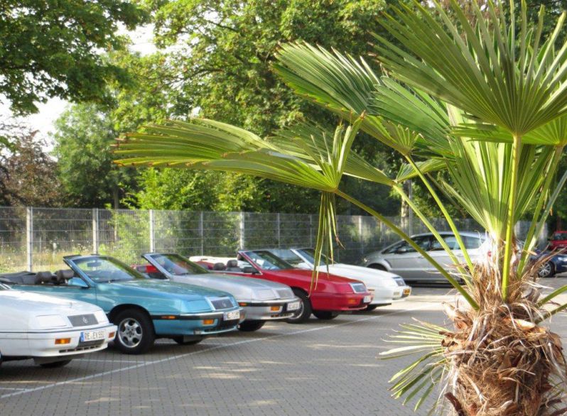 19.07.2014 Dr. Mustang 2014 122
11.US-Car-Treffen im CentrO
