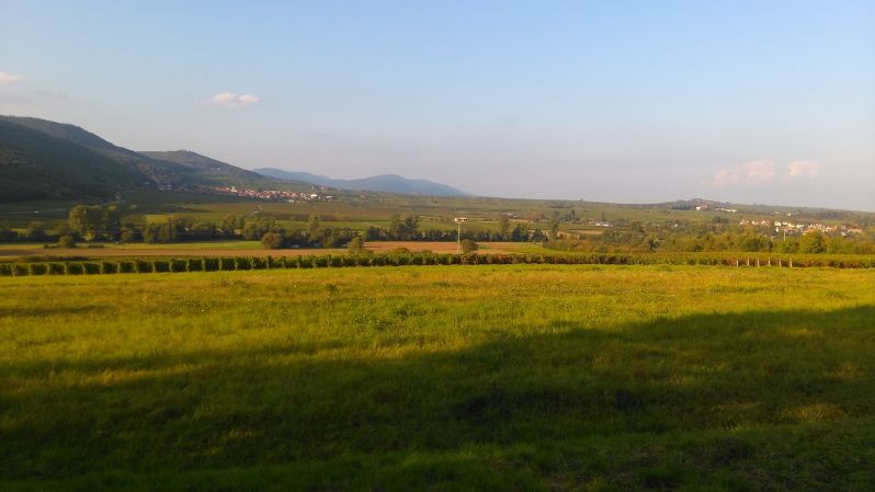 Schlüsselwörter: TraumstraÃŸen Pfalz - Rundfahrt am 23. September 2017